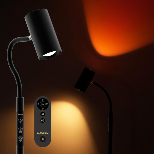 Reading Floor Lamp H2,Dual-Side Floor Lamps for Living Room,Bedroom,5 Color Temperatures and 5 Atmosphere Lighting Modes,Adjustable Gooseneck Reading Floor Lamp for Home and Office