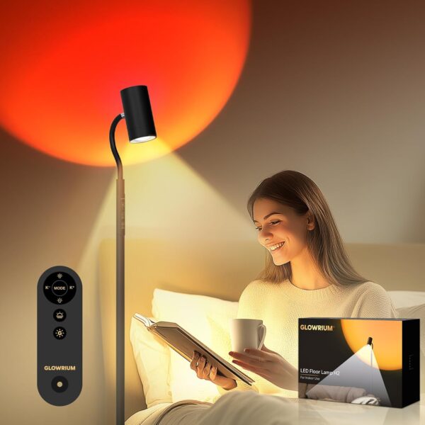 LED Floor Lamp, Professional Eye-Caring Reading Light, 360° Rotating Gooseneck Lamp, 5 Color Temperatures and Stepless Dimming, No Blue Light, No Glare, No Flicker, and Uniform Illumination