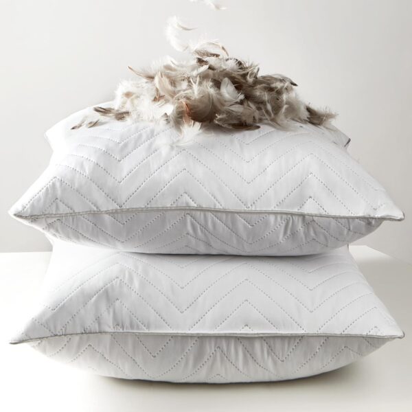 Goose Feathers Throw Pillow Inserts Set of 2, 20x20 Luxurious Corrugated Quilting Euro Decorative Pillows Insert with Exquisite Silver-Grey Satin Edging, Perfect for Couch, Bed, Sofa