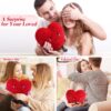 Cute Plush Red Heart Pillow Love Pillow Cushion Toy Throw Pillows Living Heart Throw Decor Pillows Microwavable Heating Pad - Image 4