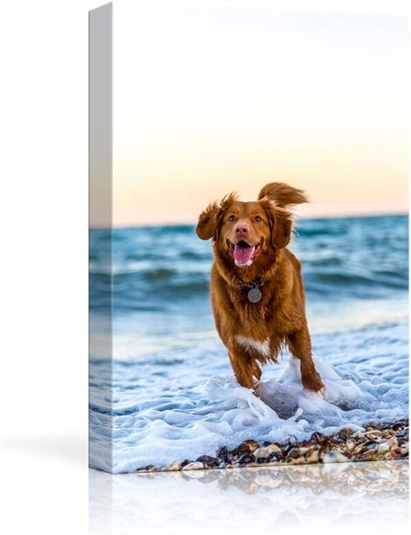 Custom Canvas Prints with Your Photos for Pet/Animal, Personalized Canvas Pictures for Wall to Print Framed 14x11 inches